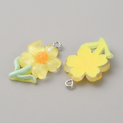 Translucent Resin Pendants RESI-TAC0004-32P-01-1