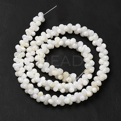 Natural Freshwater Shell Beads Strands BSHE-E026-17-1