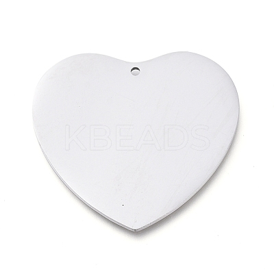 Tarnish Resistant 304 Stainless Steel Pendants STAS-L238-099A-P-1