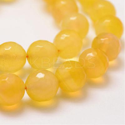 Natural Agate Bead Strands G-G882-12mm-A04-1