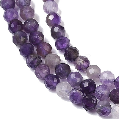 Natural Amethyst Beads Strands G-A252-A03-01-1