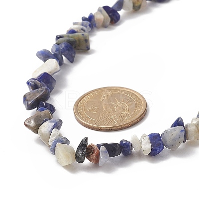 Natural Sodalite Chip Beaded Necklaces with 304 Stainless Steel Lobster Claw Clasp & Chain Extender NJEW-JN04225-02-1