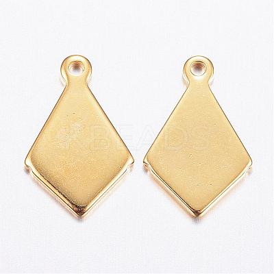 304 Stainless Steel Charms STAS-P142-10G-1