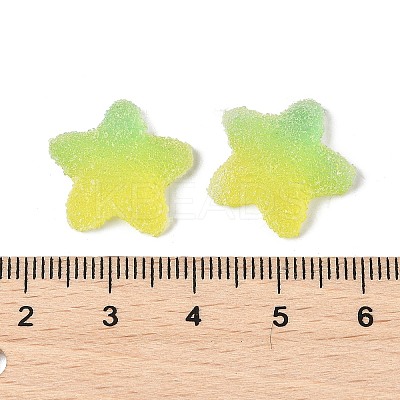 Imitation Candy Food Style Resin Cabochons X1-RESI-R461-02M-1