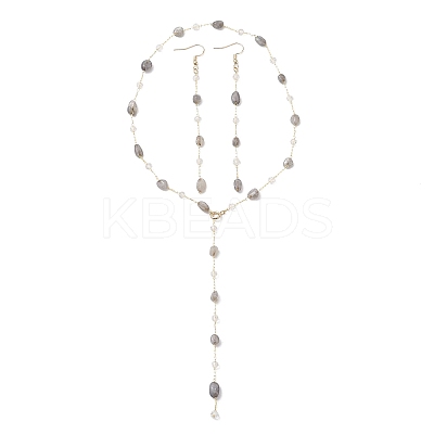 Handmade Natural Labradorite Beaded Chains Earring & Necklaces Sets SJEW-JS01342-03-1