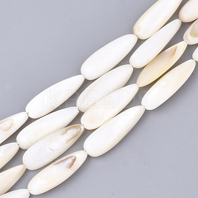 Natural Freshwater Shell Beads Strands X-SHEL-S274-73-1
