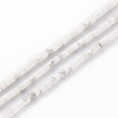 Natural Howlite Beads Strands G-H255-03-1