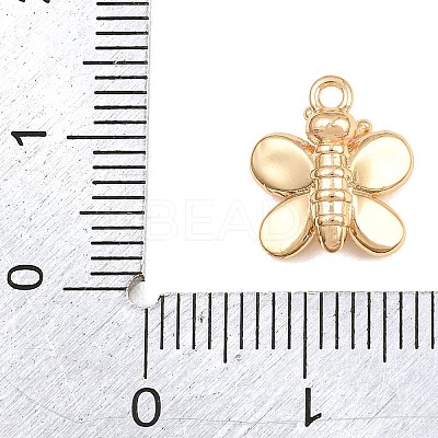 304 Stainless Steel Charms SA-CBA4377-02F-G-1
