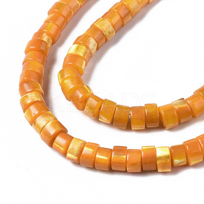 Natural Trochus Shell Beads Strands SHEL-S278-027F-1