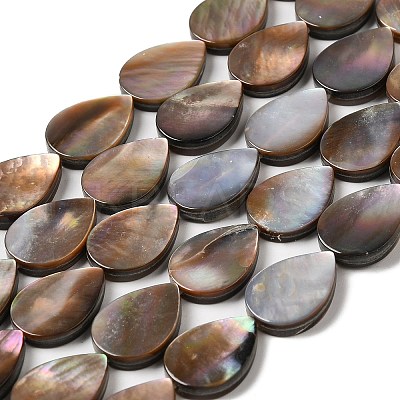Natural Sea Shell Beads Strands SHEL-K006-39-1