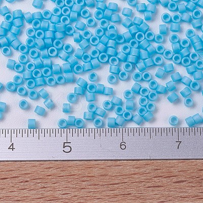 MIYUKI Delica Beads Small X-SEED-J020-DBS0879-1