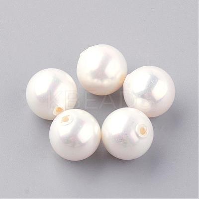 Natural Sea Shell Beads SHEL-Q008-18-10mm-1