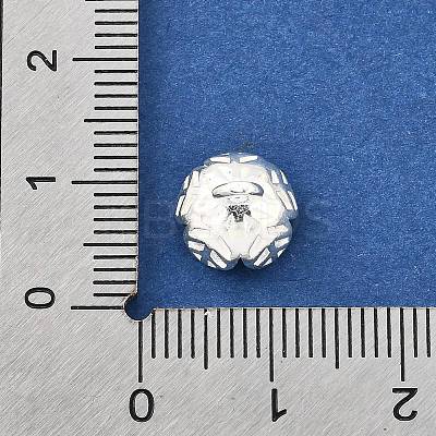 S925 Sterling Silver Charms STER-Q006-04S-1