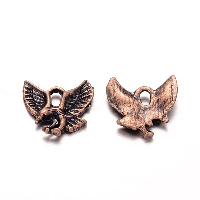 Tibetan Style Alloy Pendants LS-TIBEP-20305-R-NR-1