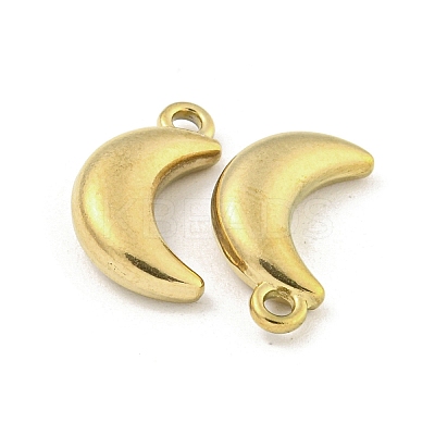 Ion Plating(IP) 304 Stainless Steel Charms STAS-I307-537G-1