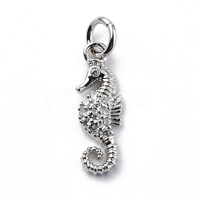 Brass Micro Pave Cubic Zirconia Charms ZIRC-F131-06P-1