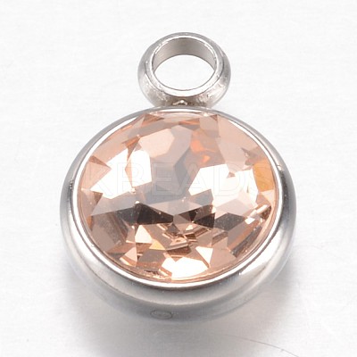 304 Stainless Steel Glass Rhinestone Charms STAS-G082-07-1