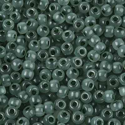 6/0 Transparent Inside Colours Glass Seed Beads SEED-N008-08D-1