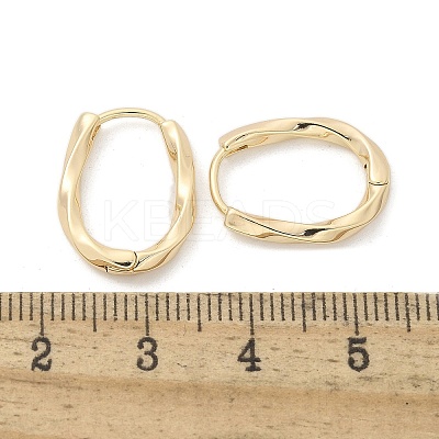 Brass Twist Hoop Earrings EJEW-Q014-02G-1