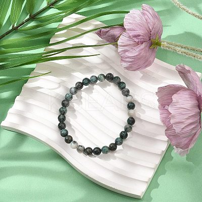 Natural Dioptase Round Beaded Stretch Bracelets BJEW-JB11195-02-1