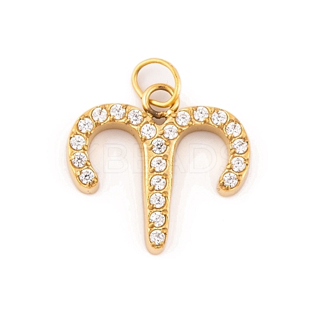 316 Stainless Steel Micro Pave Cubic Zirconia Pendants LS-STAS-K284-01A-G-1