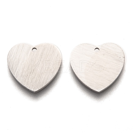 Tarnish Resistant 304 Stainless Steel Pendants STAS-O133-02C-P-1