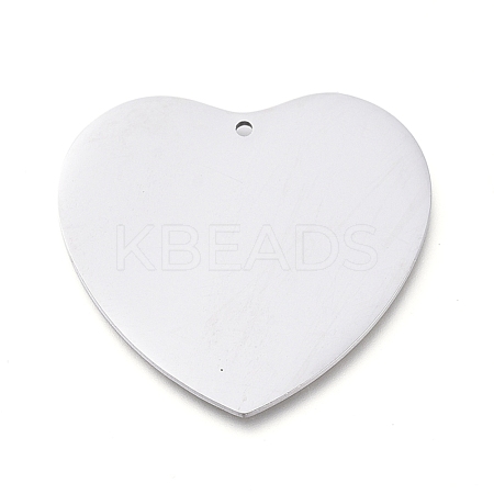Tarnish Resistant 304 Stainless Steel Pendants STAS-L238-099A-P-1