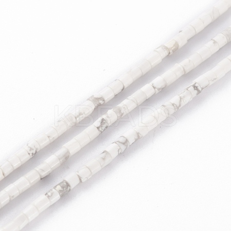 Natural Howlite Beads Strands G-H255-03-1