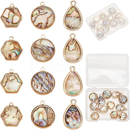 12Pcs 3 Styles Natural Paua Shell Resin Pendants KK-GO0001-82-1