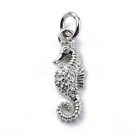 Brass Micro Pave Cubic Zirconia Charms ZIRC-F131-06P-1