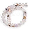 Natural Dendritic Agate Beads Strands G-A248-A07-04-3