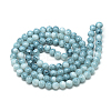 Baking Paint Glass Beads Strands X-DGLA-S115-6mm-S73-2