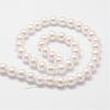 Rainbow Plated Shell Pearl Bead Strands BSHE-L025-02-8mm-2