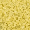 FGB Frosted Transparent Glass Seed Beads SEED-N013-05A-02-3
