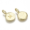 Alloy Pendants LS-X-PALLOY-N157-004M-NR-2