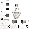 304 Stainless Steel Micro Pave Cubic Zirconia Pendants STAS-B086-13P-04-3