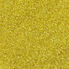 MIYUKI Round Rocailles Beads SEED-G007-RR0252-3