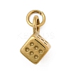 304 Stainless Steel Charms STAS-Z179-13G-1