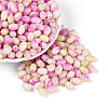 Glass Seed Beads SEED-T009-02A-2
