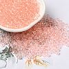 Transparent Colours Glass Seed Beads SEED-P007-02A-05-1