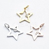 316 Surgical Stainless Steel Pendants STAS-K178-01A-1