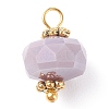 Glass Charms PALLOY-JF01309-2