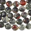 Natural Bloodstone Beads Strands G-A292-A09-01-5