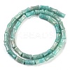 Natural Amazonite Beads Strands G-H064-C01-01-3
