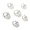 6Pcs 6 Styles Shell Pearl Pendants KK-CJ0003-73-8