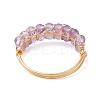 Natural Amethyst & Moss Agate & Apatite Finger Rings RJEW-TA00182-5