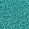 MIYUKI Delica Beads SEED-MY11-DB0759-3