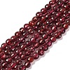 Natural Garnet Beads Strands X-G-F770-B02-01-1