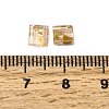 2-Hole Transparent Glass Seed Beads SEED-S023-30C-34-3