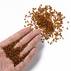8/0 Glass Seed Beads X1-SEED-A005-3mm-22C-4